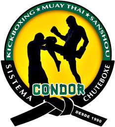 CONDOR NEW