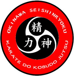 LOGO SEISHINRYOKU RYU